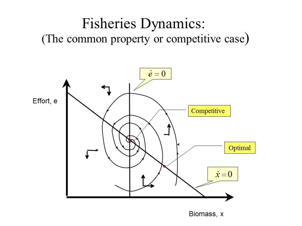 Fisheries Dynamics: (The common property or competitive case)